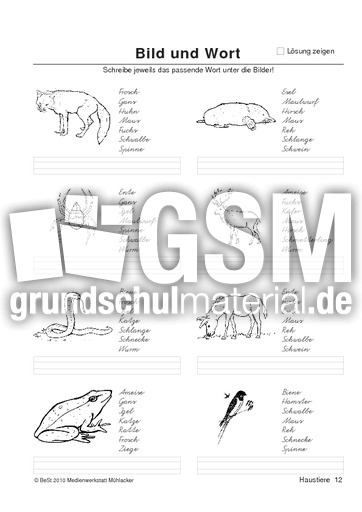 BuW Haustiere12.pdf